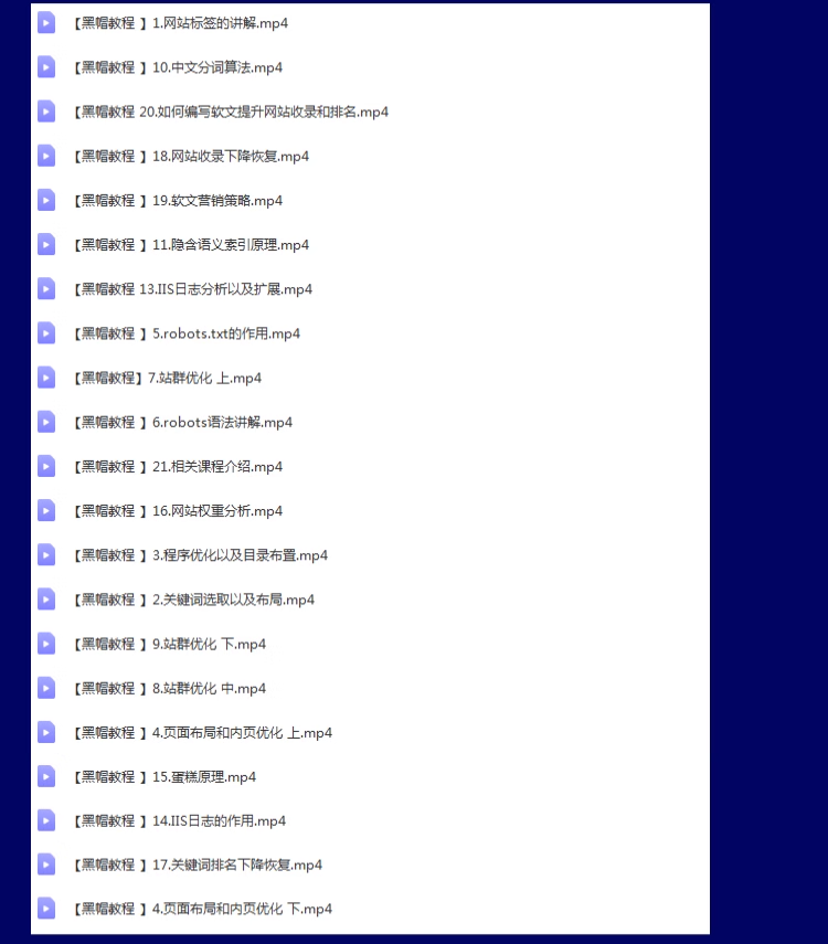 搜索优化黑/白帽SEO网站快速排名教程泛目录实操全套课程